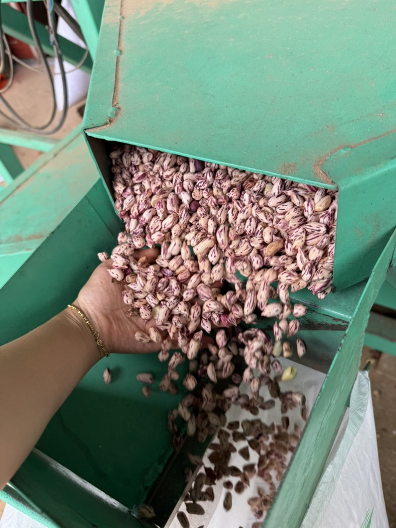 七彩花生米品质保证服务周到产地直发价格美丽