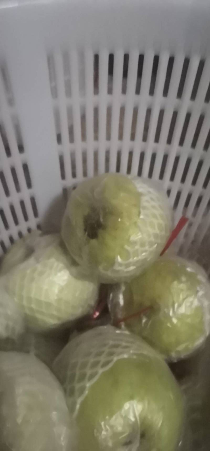 工厂压汁花皮果白心番石榴