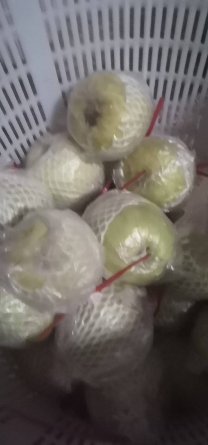 工厂压汁花皮果白心番石榴