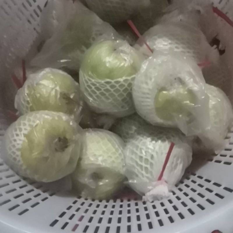 工厂压汁花皮果白心番石榴