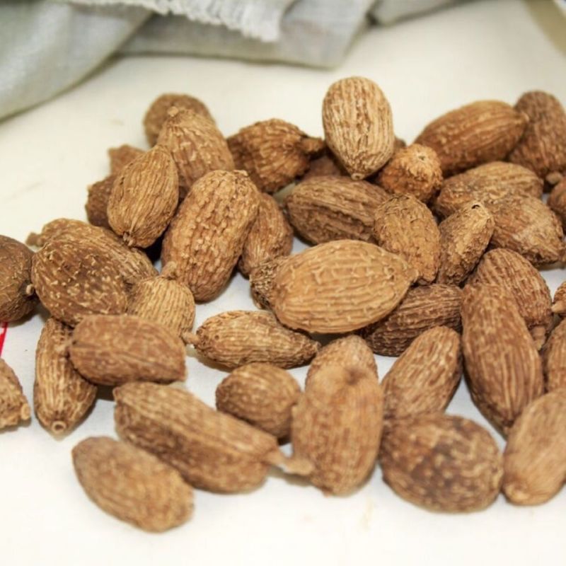 砂仁无硫砂仁新货正宗阳春砂仁香料大料多规格