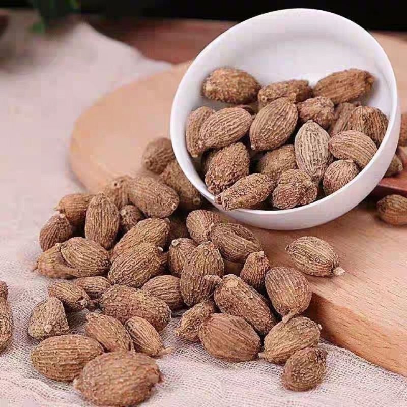 砂仁无硫砂仁新货正宗阳春砂仁香料大料多规格