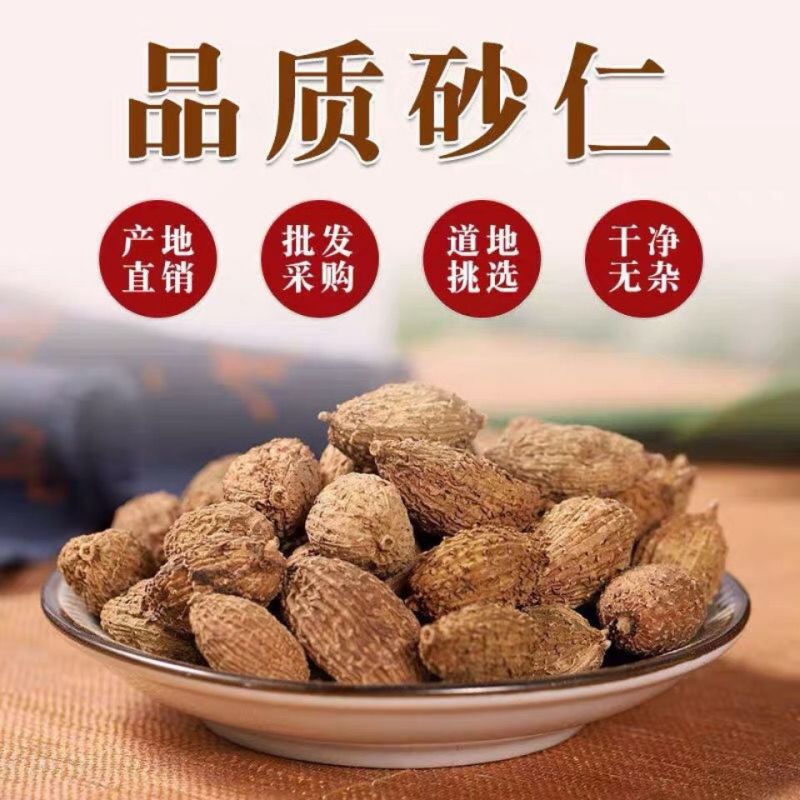砂仁无硫砂仁新货正宗阳春砂仁香料大料多规格