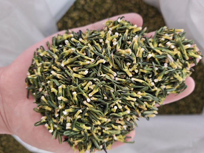 莲子心新鲜莲心莲子心莲芯湖南莲子芯正品新货精选莲子芯