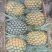 香水菠萝
