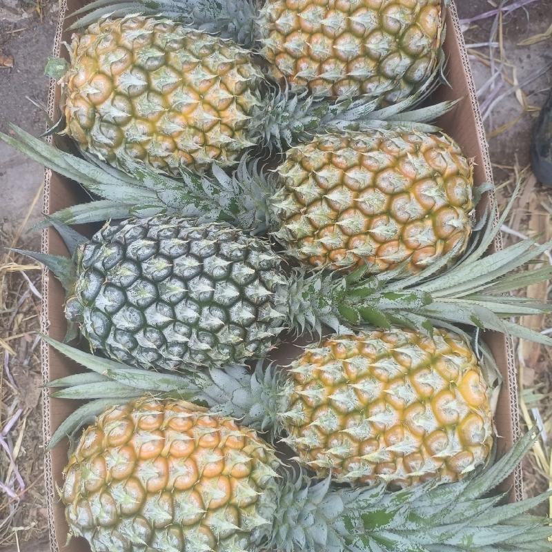 香水菠萝