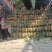 香水菠萝