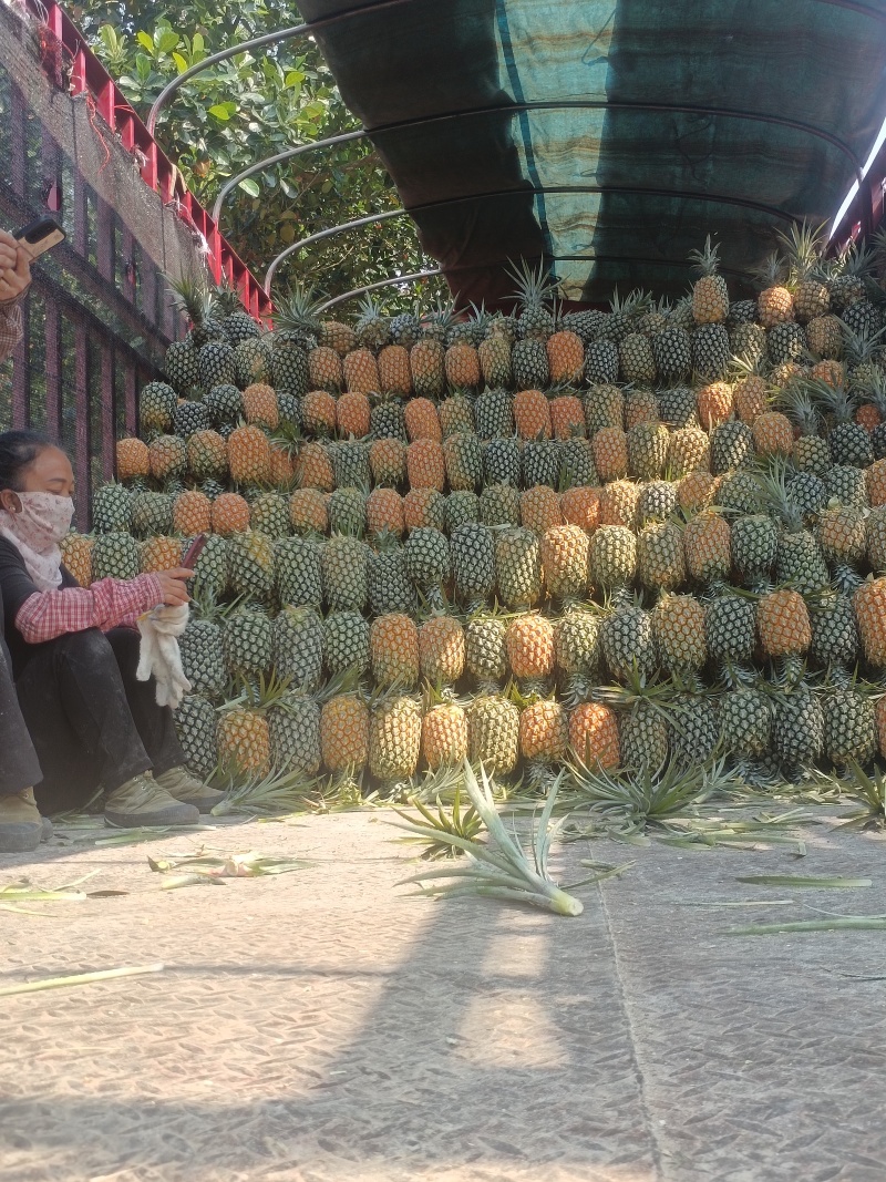 香水菠萝