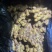 云南精品冷库二号姜精品货源，大量供应，诚信经营，