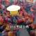 瑶鸡苗黑瑶鸡苗红瑶鸡苗做好疫苗包活到家量大从优