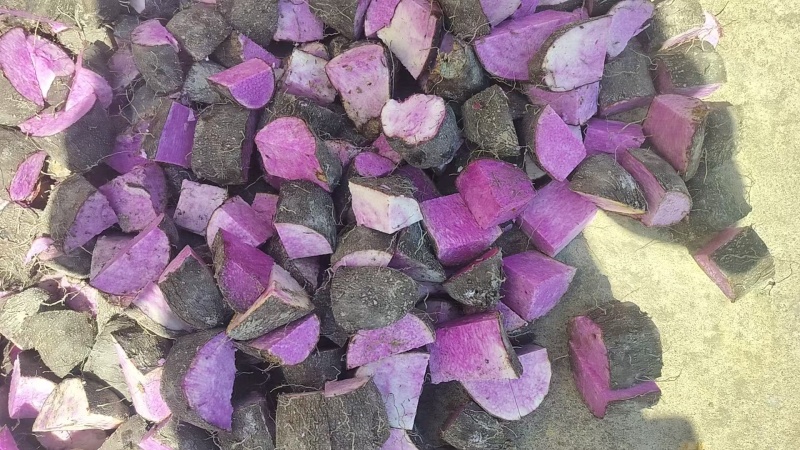 紫山药脚板薯蔬菜紫玉淮山药紫山药毛薯富硒紫山药