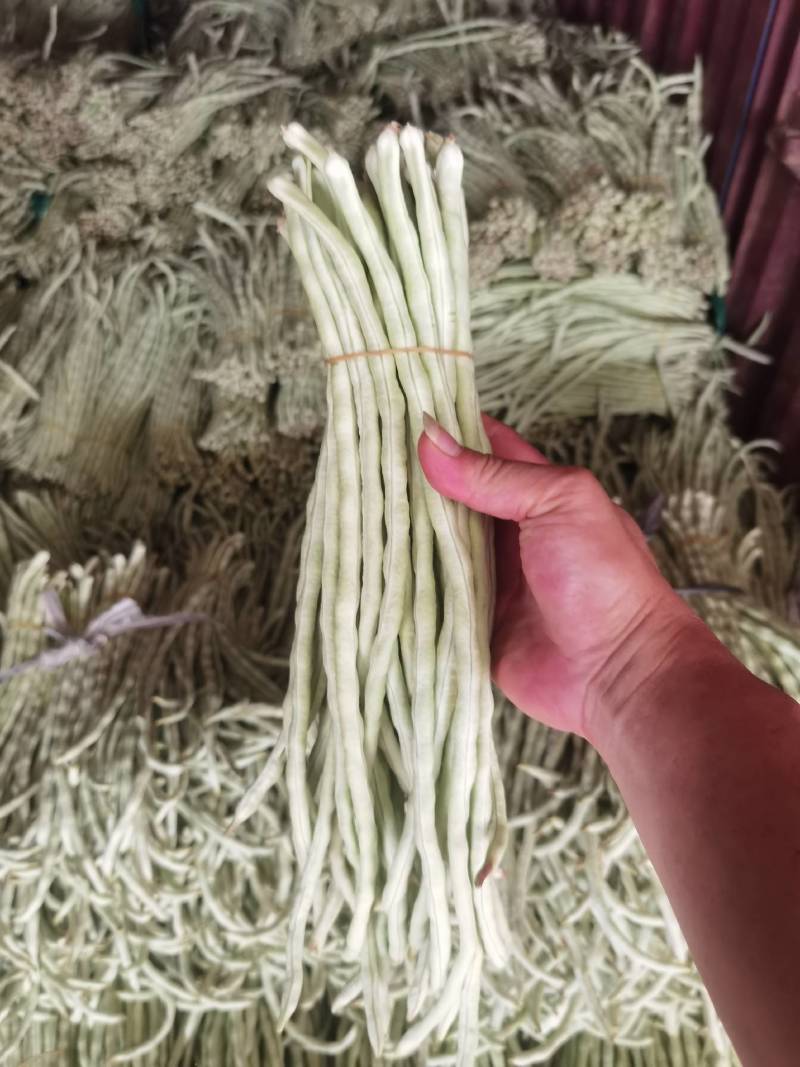 广西横县白珠豆已大量上市，需要的老板联系我