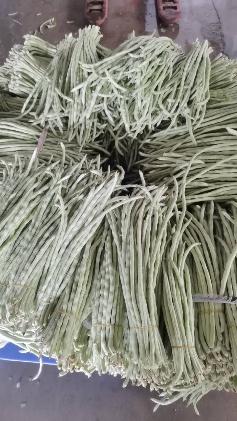 广西横县白珠豆已大量上市，需要的老板联系我