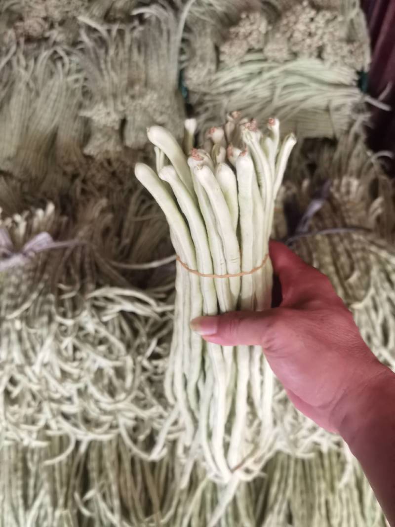 广西横县白珠豆已大量上市，需要的老板联系我