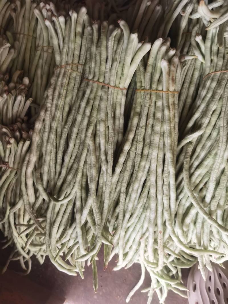 广西横县白珠豆已大量上市，需要的老板联系我