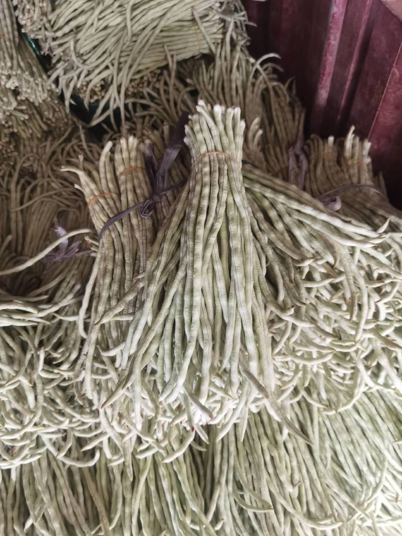 广西横县白珠豆已大量上市，需要的老板联系我