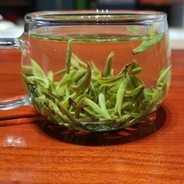 纯露天人工制作日照绿茶