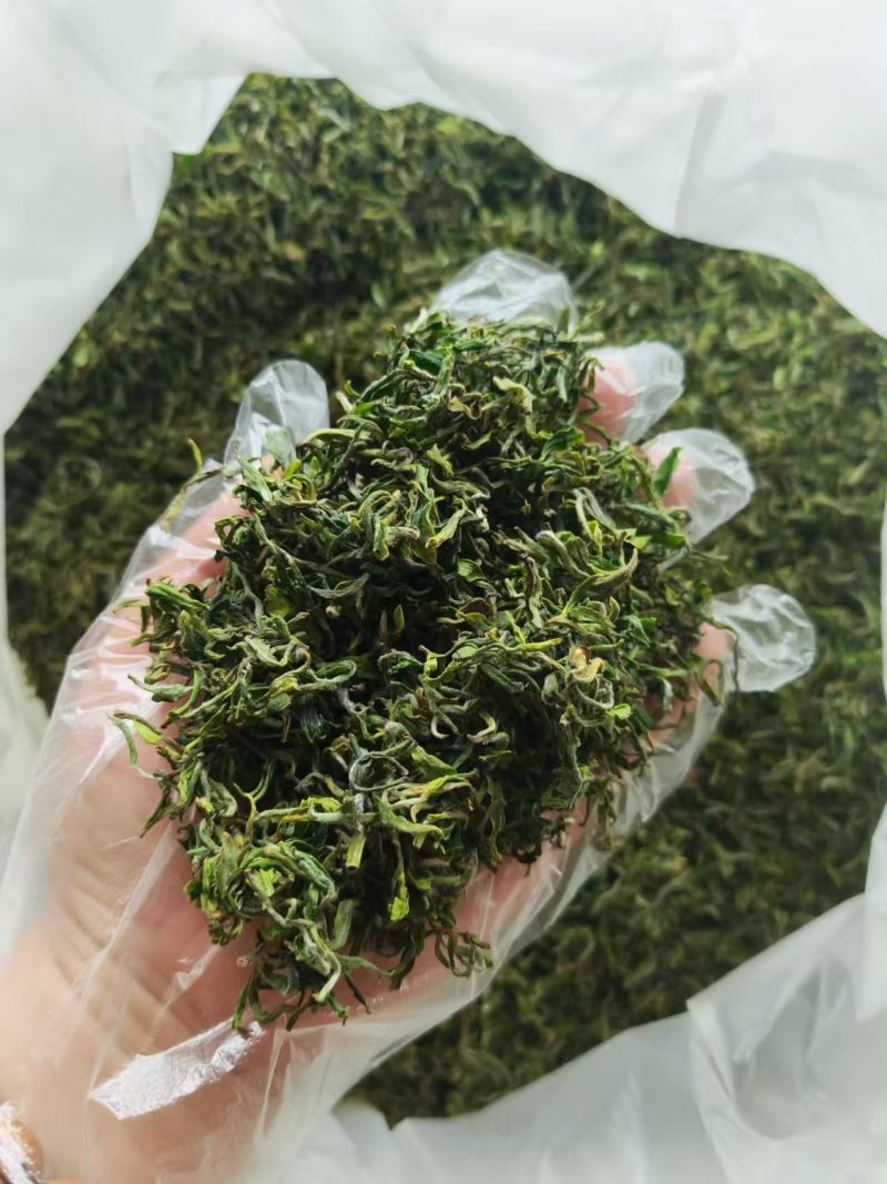 纯露天人工制作日照绿茶
