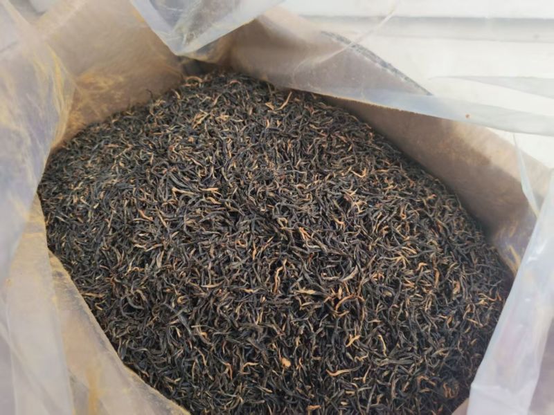 纯露天人工制作日照绿茶