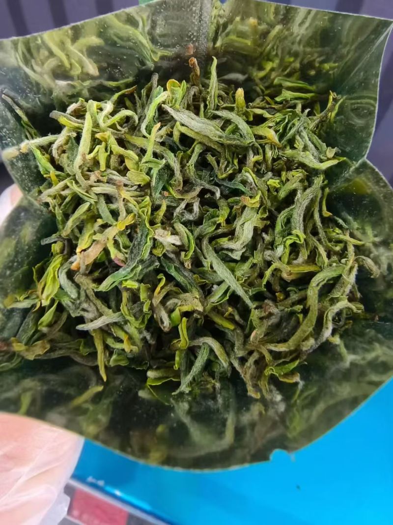 纯露天人工制作日照绿茶