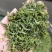 纯露天人工制作日照绿茶