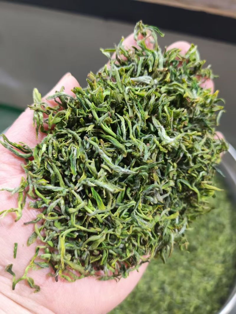 纯露天人工制作日照绿茶
