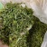 纯露天人工制作日照绿茶