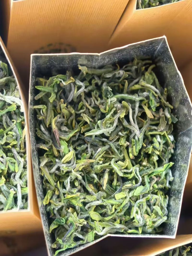 纯露天人工制作日照绿茶