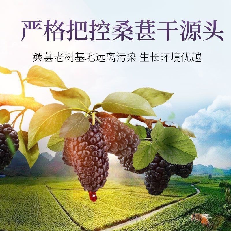 黑桑椹干新货新疆果干无沙免洗泡茶袋装无干燥剂即食