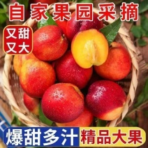 《一件代发》山东黄心油桃大油桃电商平台对接一件代发日发万