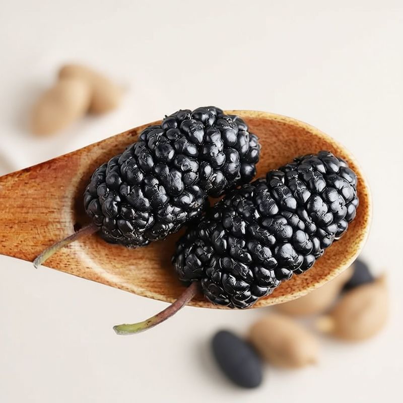 桑葚干【新货】新疆特产吐鲁番桑葚果干黑桑葚干批发泡水泡茶