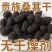 新疆桑椹果新鲜桑葚正品黑桑葚果干泡水批发桑葚干商用组合