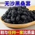 干净无沙新货桑葚干496g黑桑葚果四川桑果干无硫正品净重