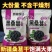 新货新疆吐鲁番野生桑葚干干净无沙黑桑葚干无沙大颗粒泡水