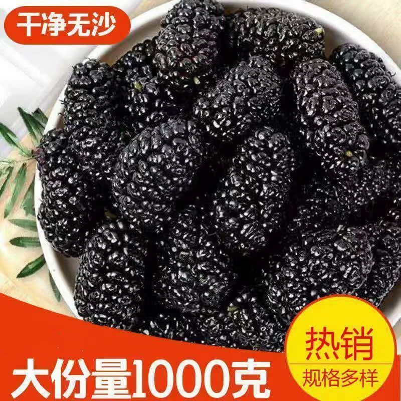 新货新疆吐鲁番野生桑葚干干净无沙黑桑葚干无沙大颗粒泡水