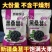 新货新疆吐鲁番野生桑葚干干净无沙黑桑葚干无沙大颗粒泡水
