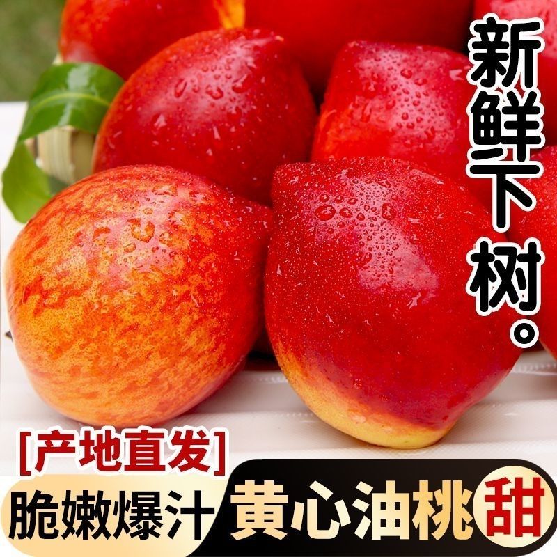 《一件代发》山东黄心油桃大油桃电商平台对接一件代发日发万