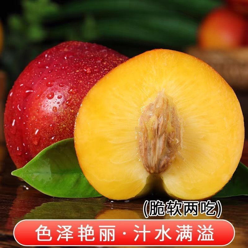 《一件代发》山东黄心油桃大油桃电商平台对接一件代发日发万
