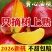 《一件代发》山东黄心油桃大油桃电商平台对接一件代发日发万