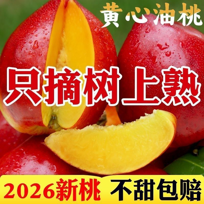 《一件代发》山东黄心油桃大油桃电商平台对接一件代发日发万