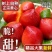 《一件代发》山东黄心油桃大油桃电商平台对接一件代发日发万