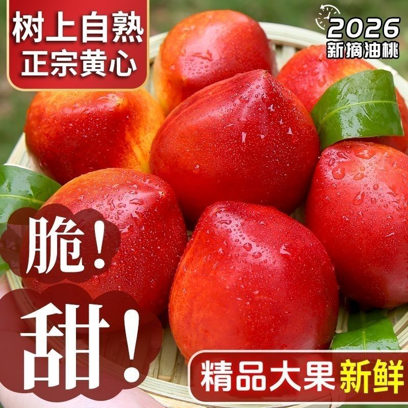 《一件代发》山东黄心油桃大油桃电商平台对接一件代发日发万