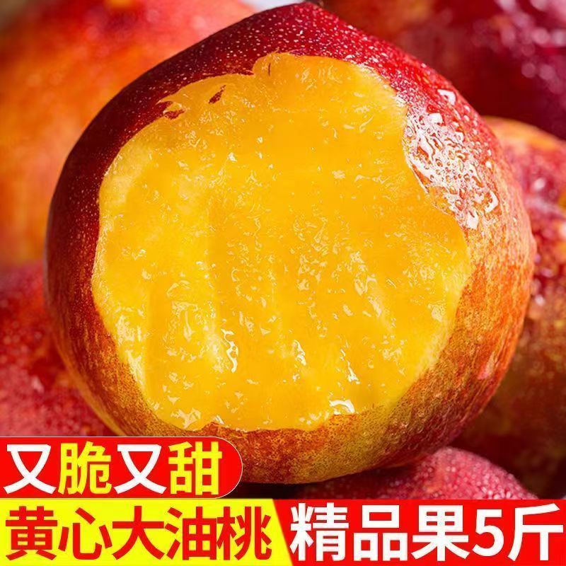 《一件代发》山东黄心油桃大油桃电商平台对接一件代发日发万