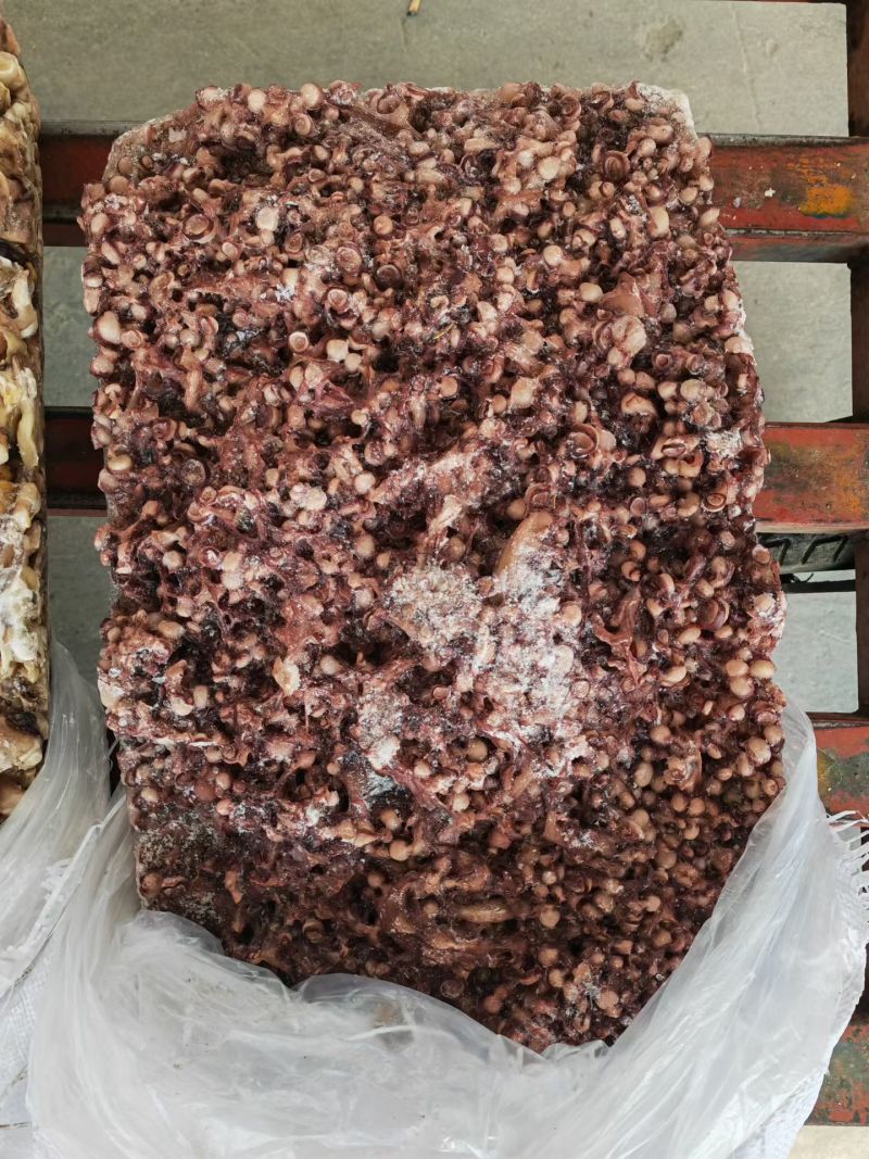 鱿鱼边角料30吨大厂新货尾y335186