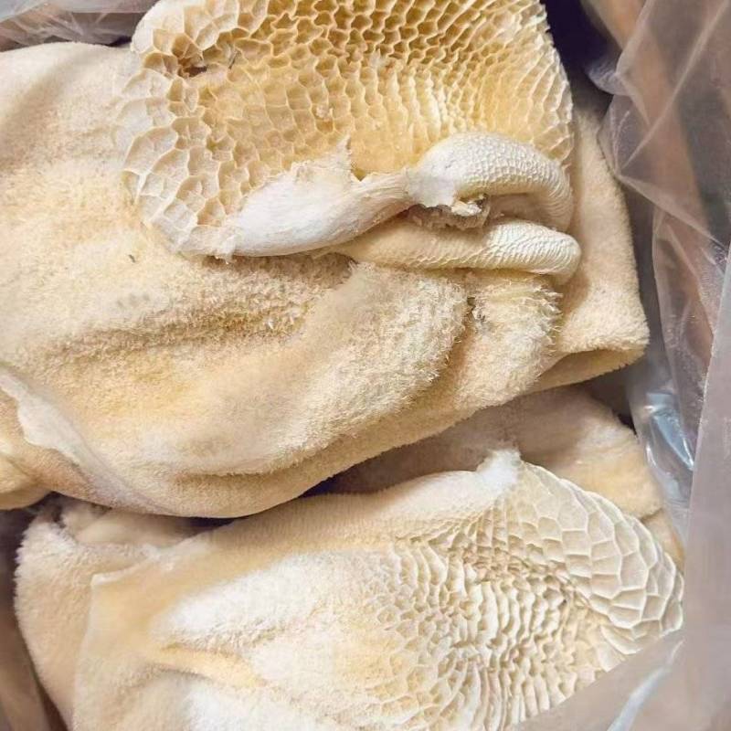 【熟牛肚】半成品牛肚，纯干牛肚，无减法，无水发，出成率高