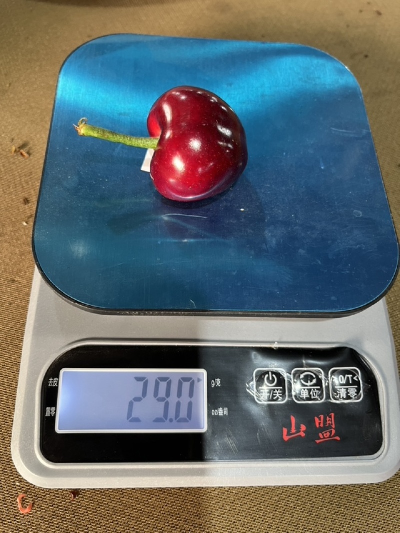 应客户要求列队齐摆法发10件