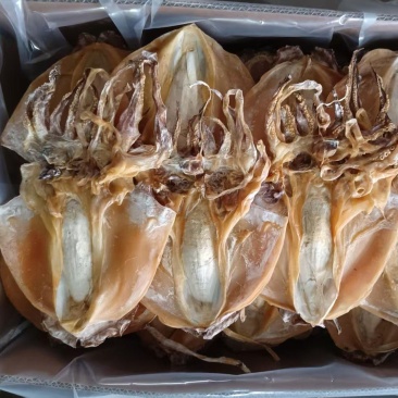浙江半淡干4-5头东海墨鱼干深海捕捞传统晾晒无硫***