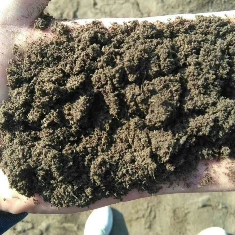 发酵羊粪羊粪肥羊粪厂家直发欢迎咨询合作