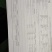 巴基斯坦花螺