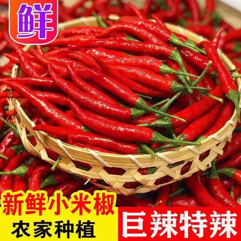 （云南小米椒）朝天椒/云南辣椒/产地货源/专业代办团队